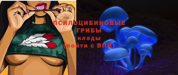 а пвп мука Богданович