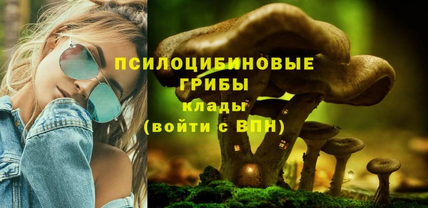 а пвп мука Богданович