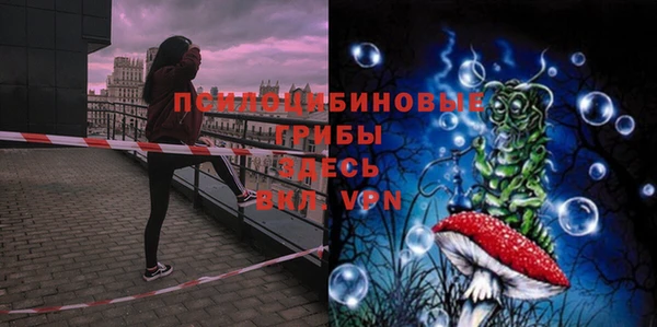 экстази Богородск