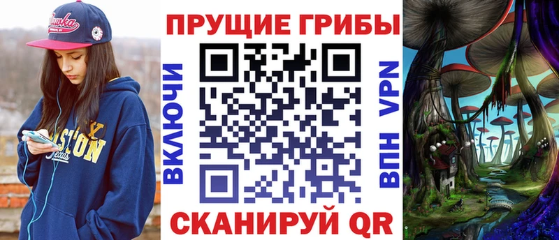 закладка  Болгар  Галлюциногенные грибы ЛСД 